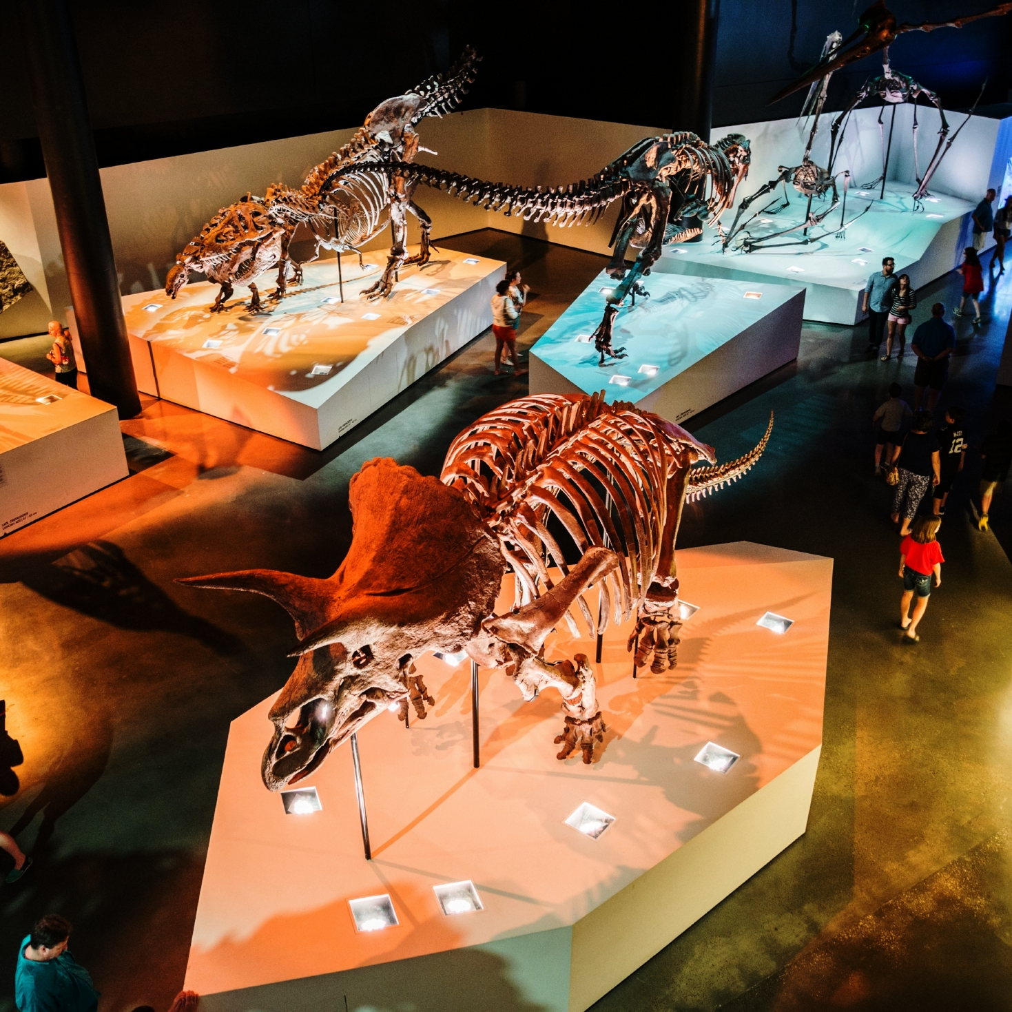 Houston Museum of Natural Science